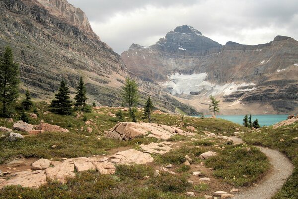 A narrow path in a mountain gorge