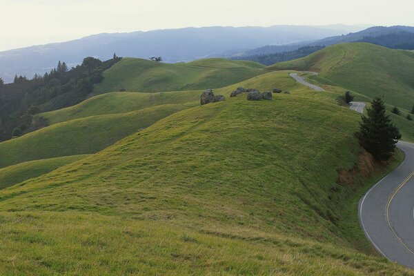 Car donor among the green hills