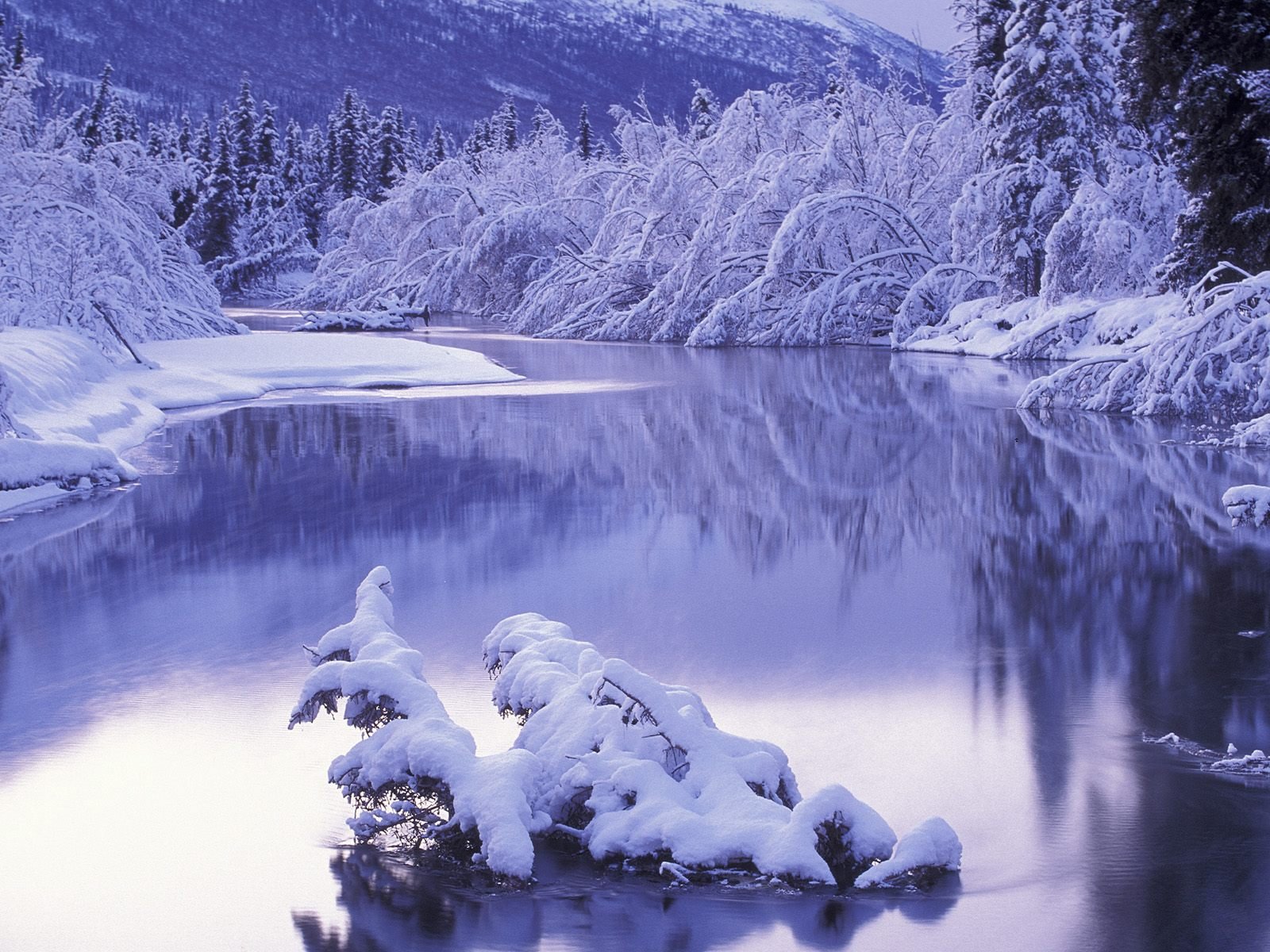 winter landschaft winter fluss schnee