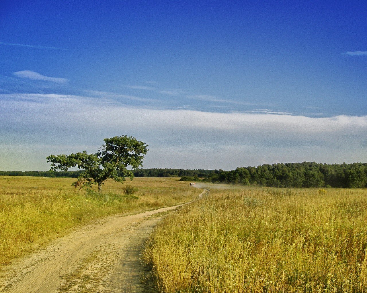 feld sommer straße