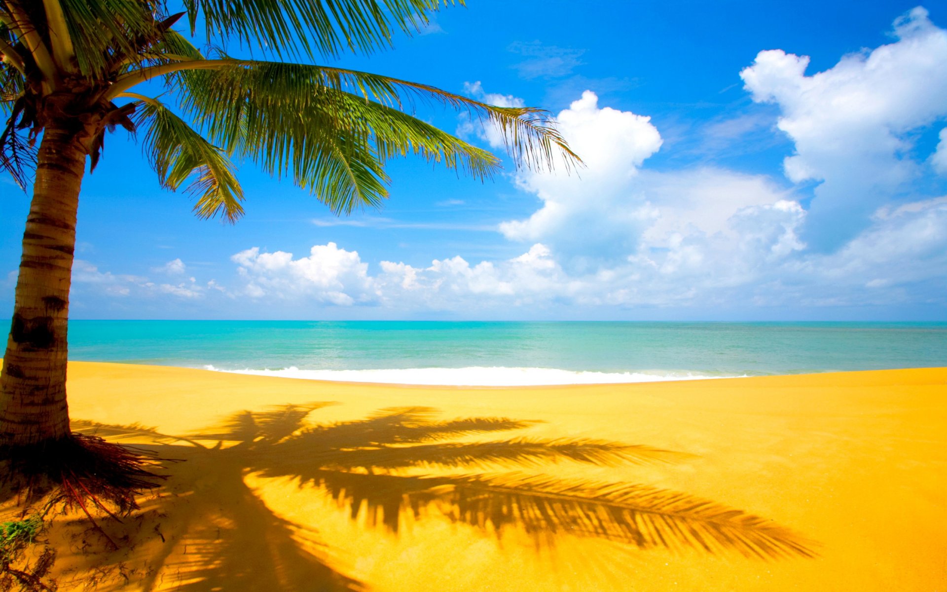 palma sea beach sand clouds tropic