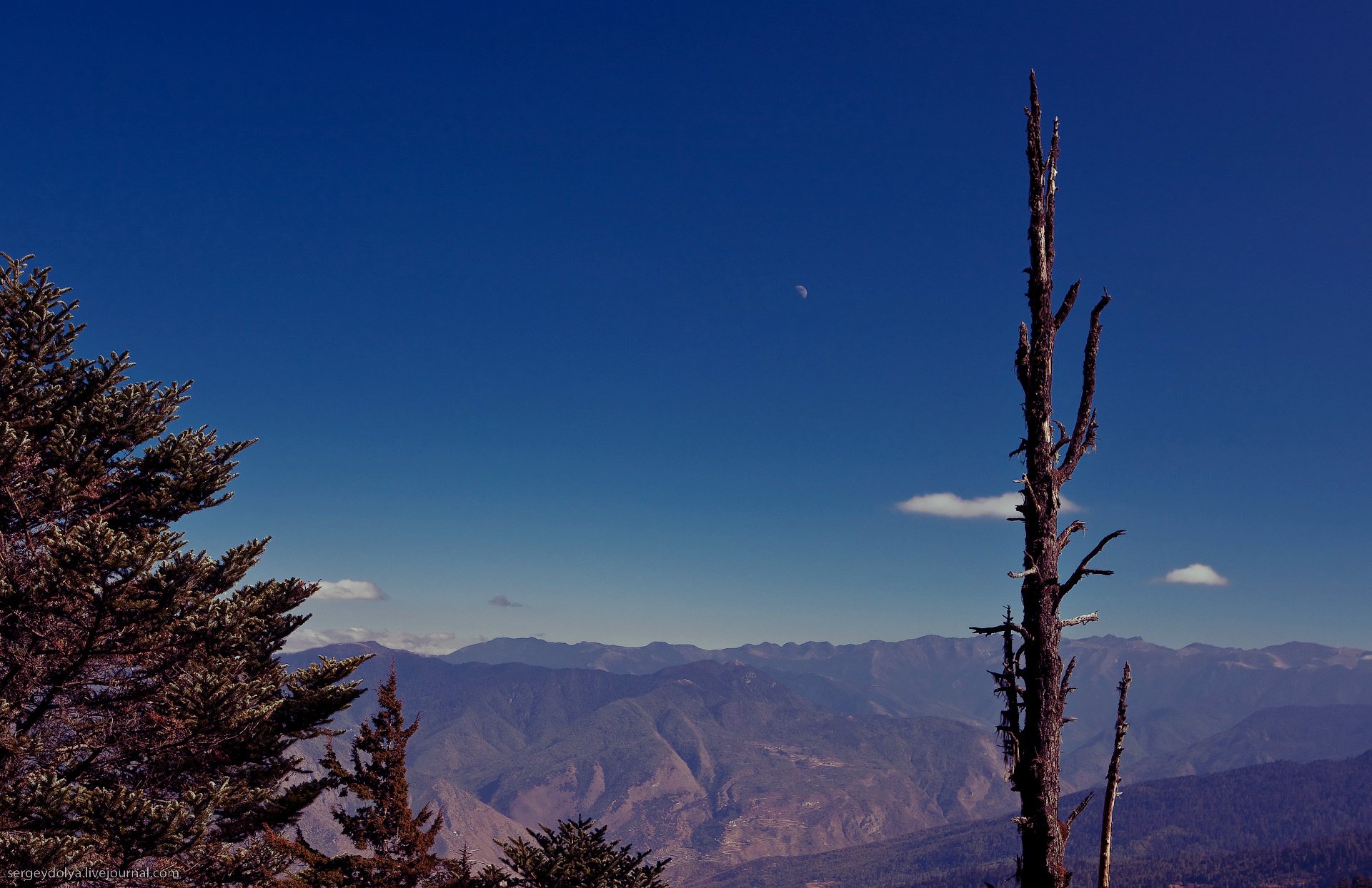 ramo montagne cielo