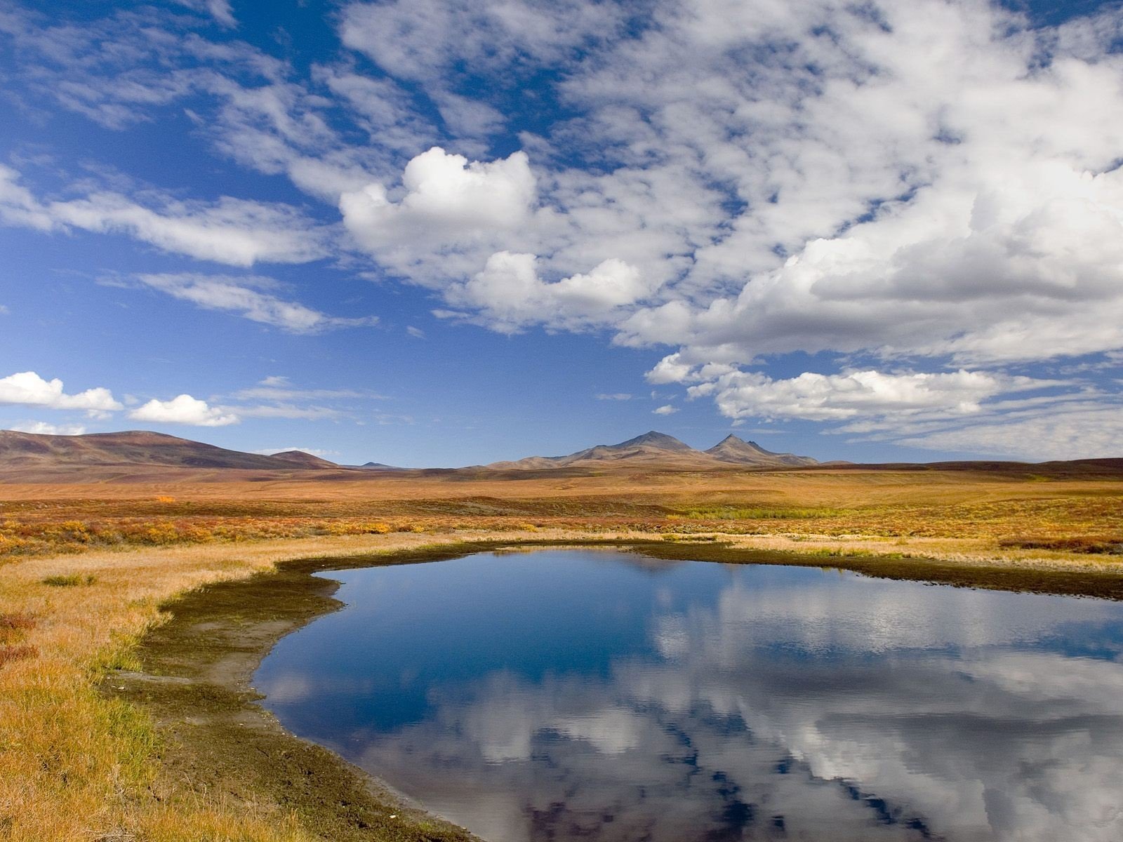 plain clouds a pool