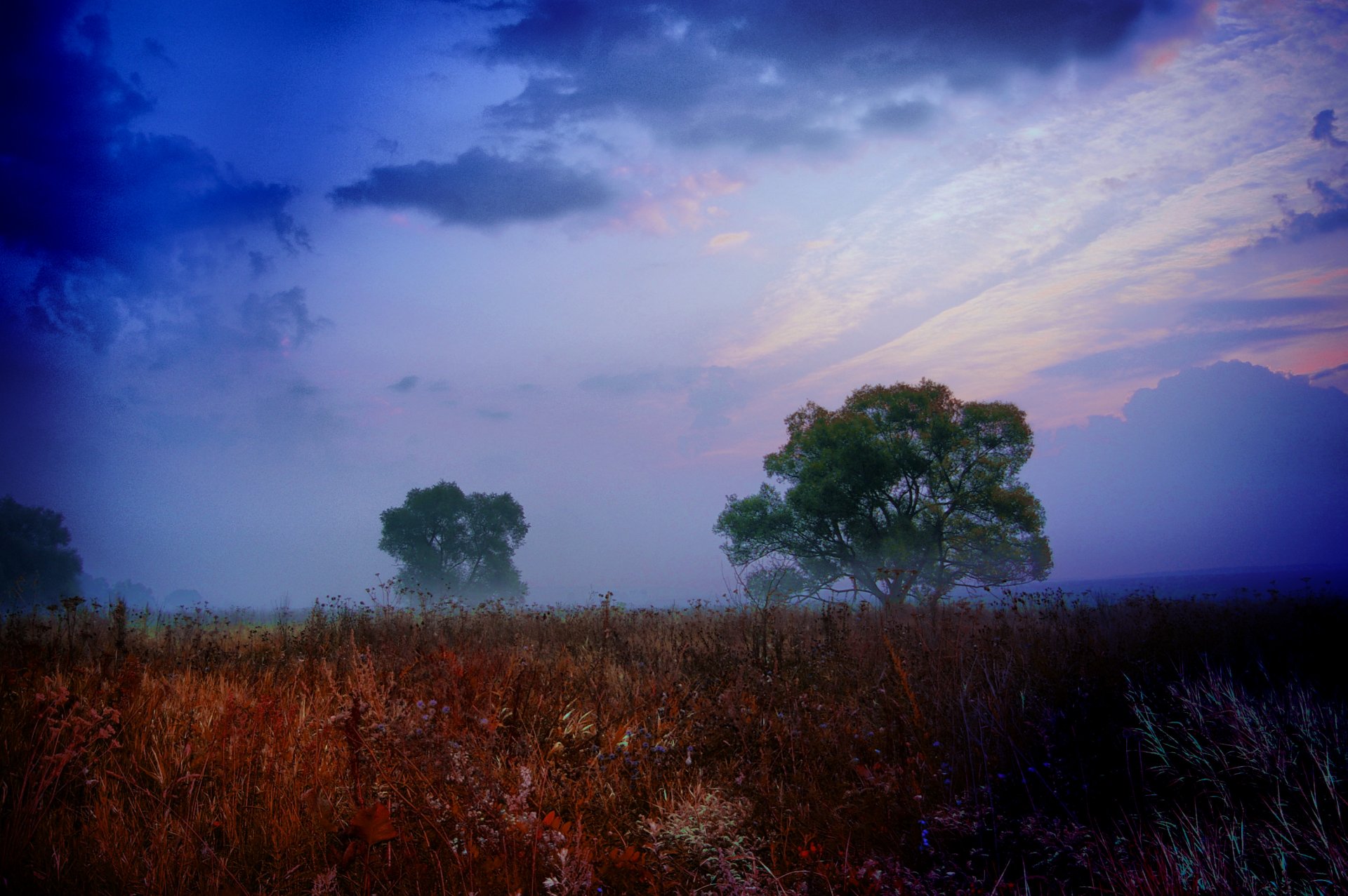 landscape nature view