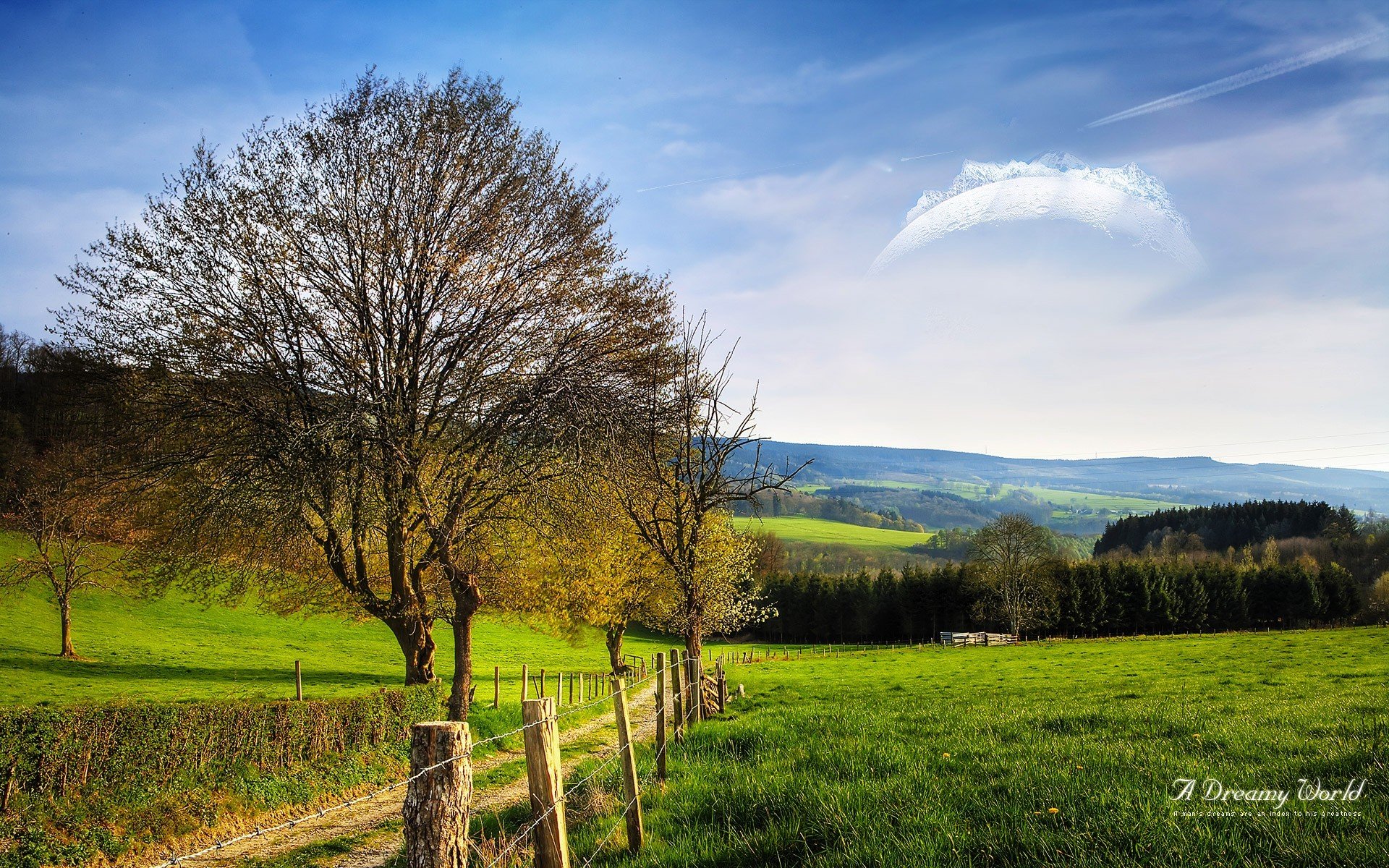 mondo da sogno campo strada recinzione albero