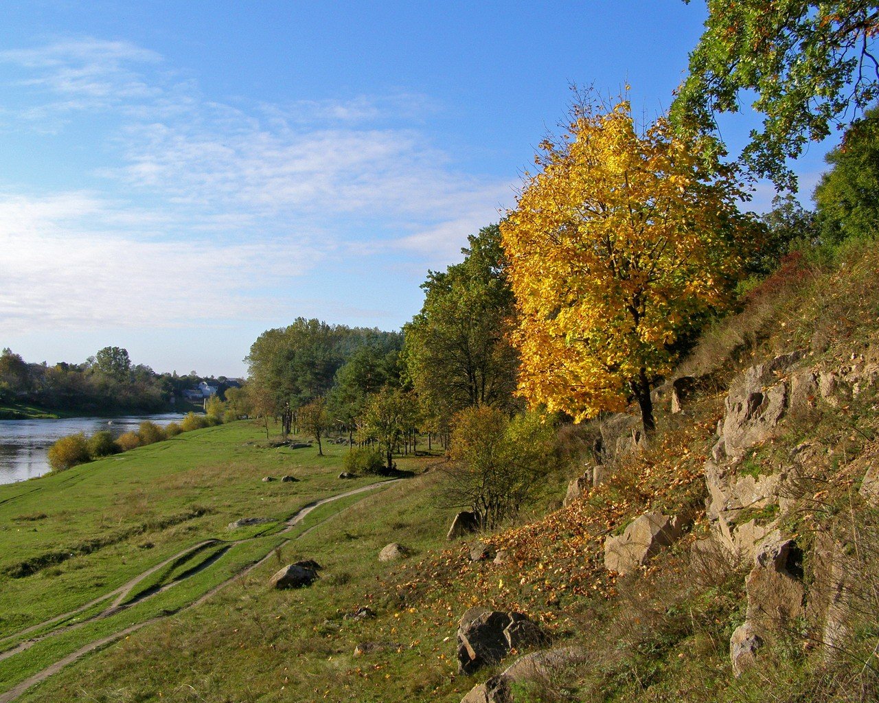 осень деревья берег