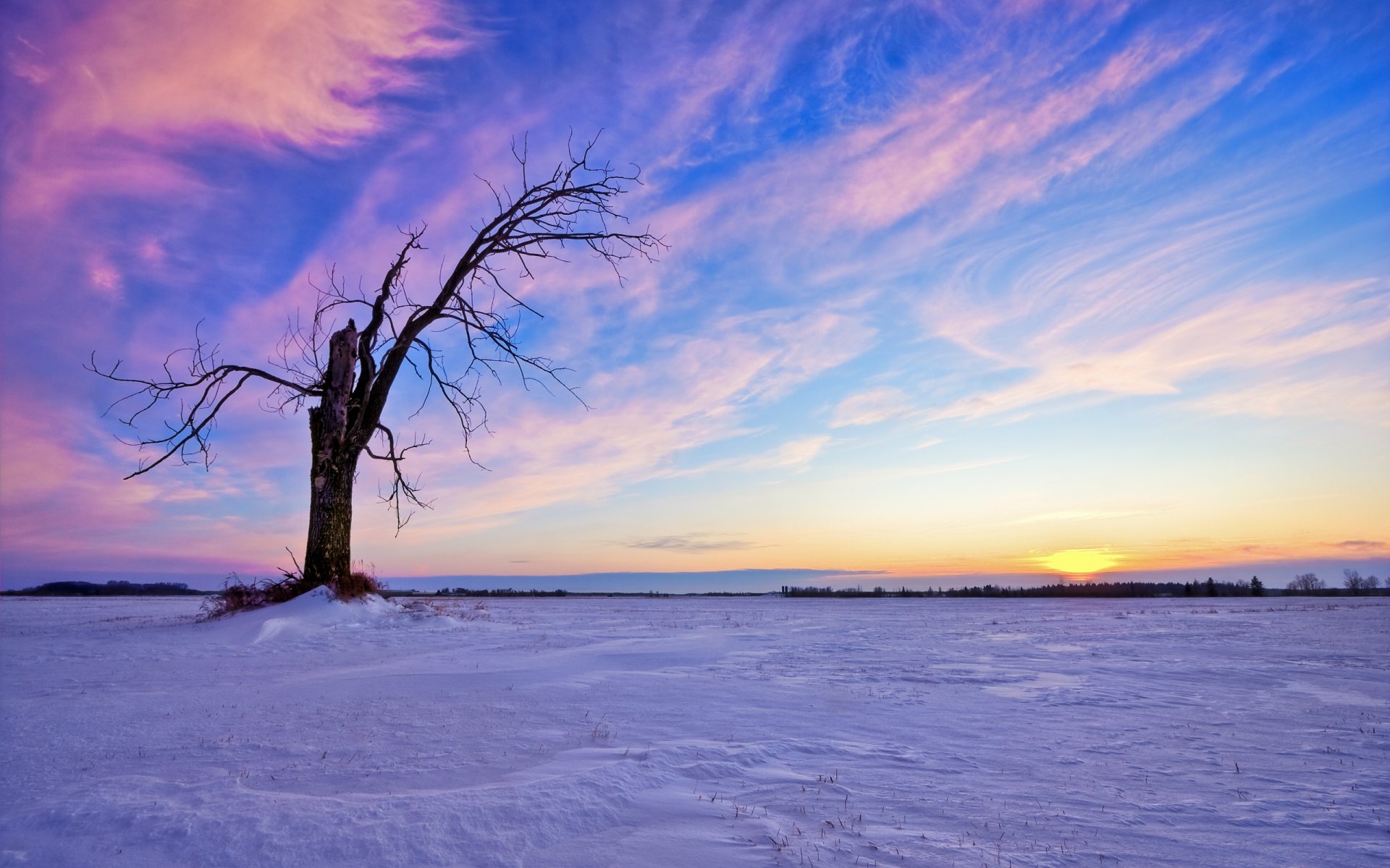 nuages ciel neige coucher de soleil soleil arbre hiver