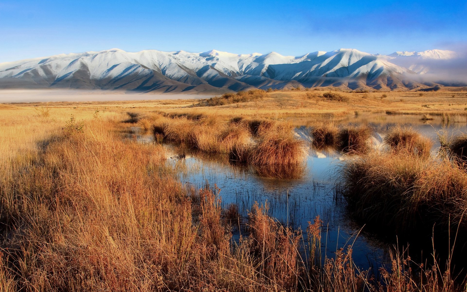 sumpf berge neuseeland gras