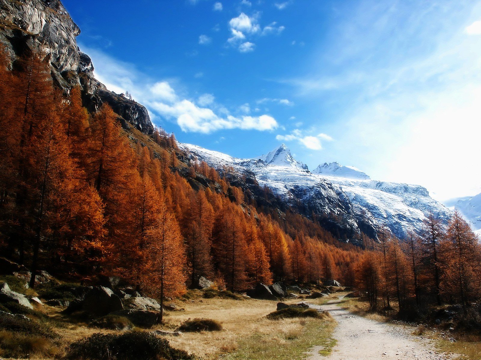 montagnes arbres forêt ciel