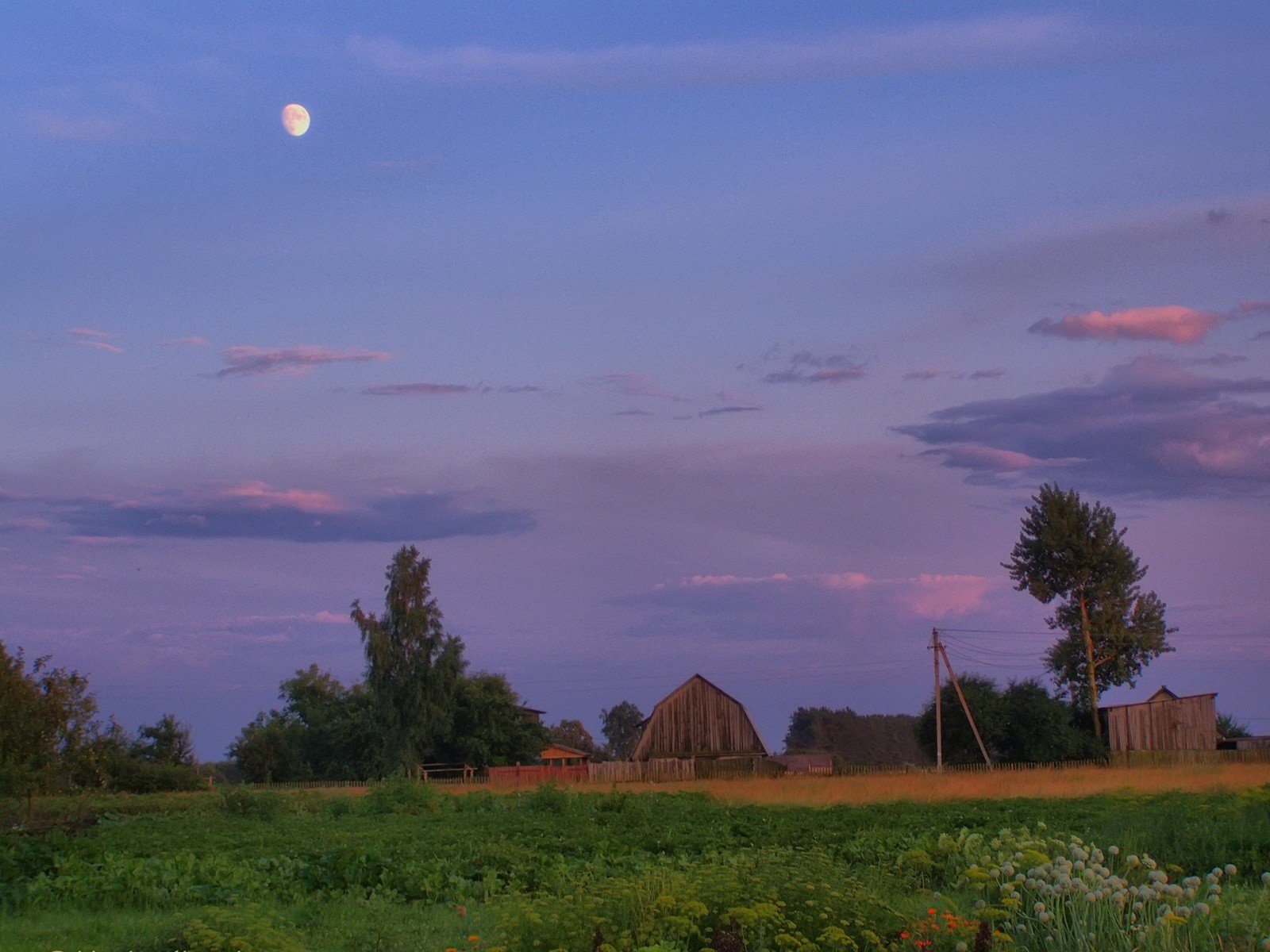 лето деревня луна