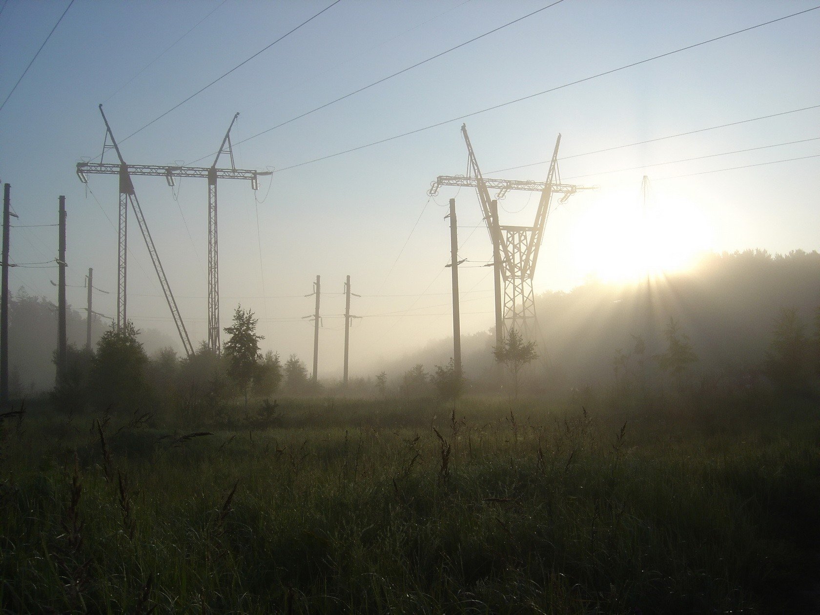 líneas eléctricas sol hierba