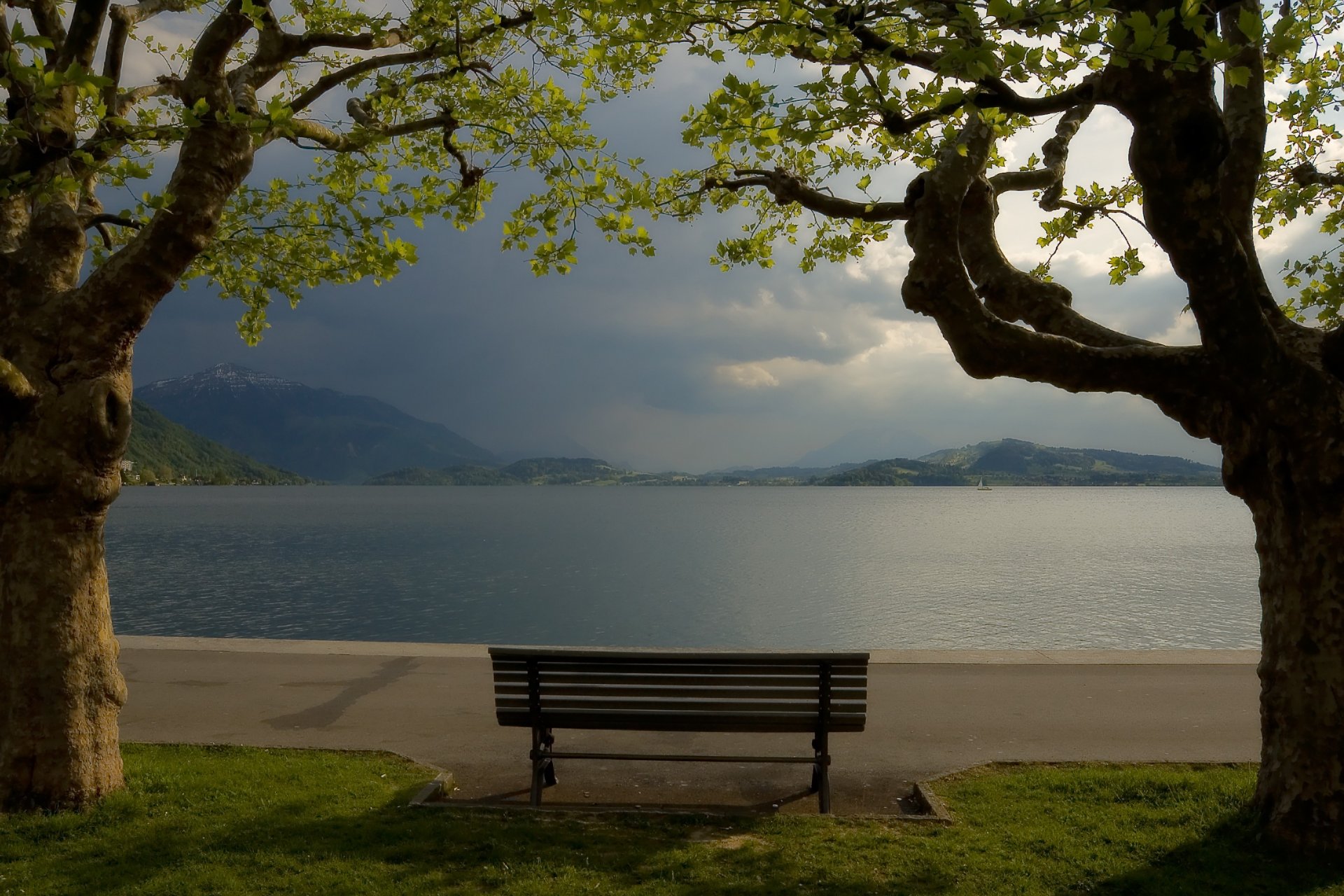 lake mountain tree shop bench