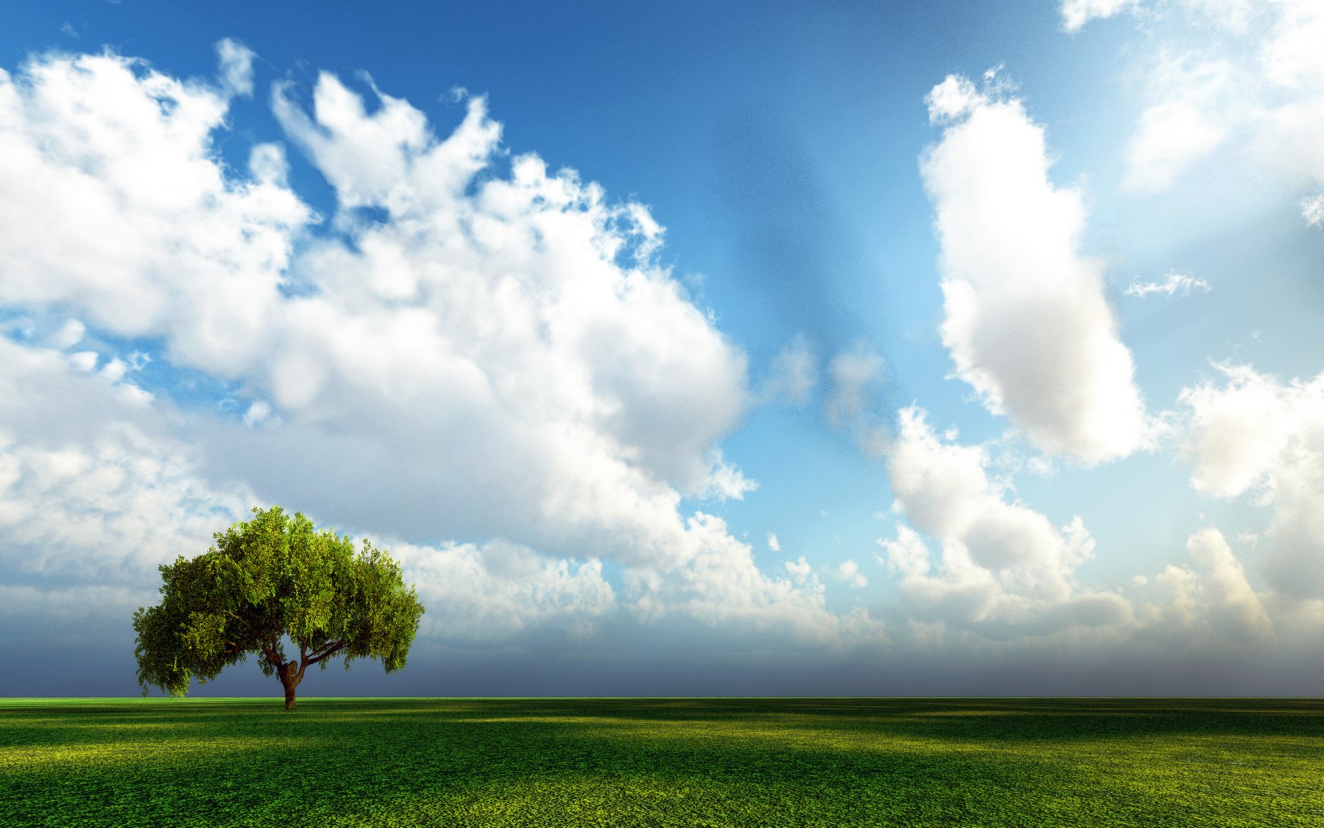 cielo árbol campo hierba