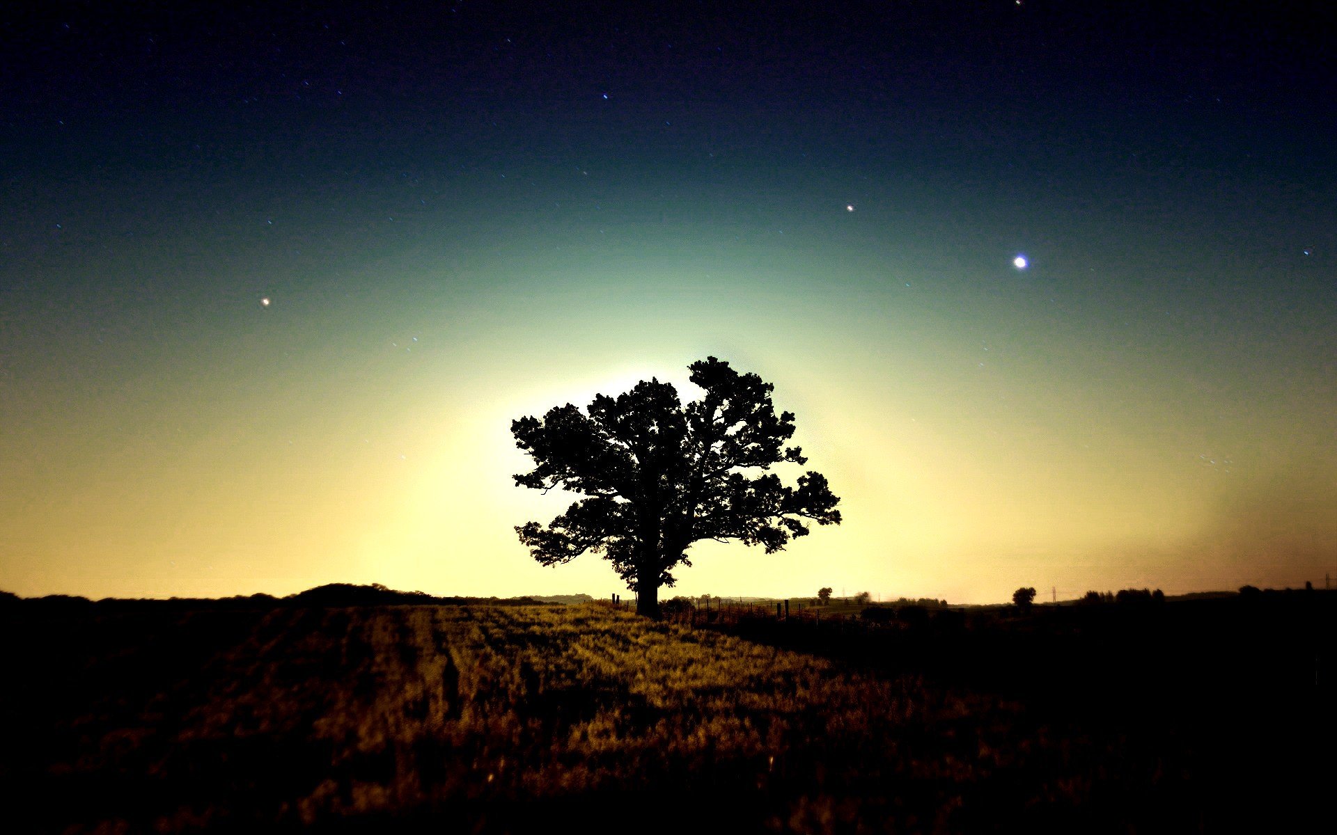 árbol mañana estrellas