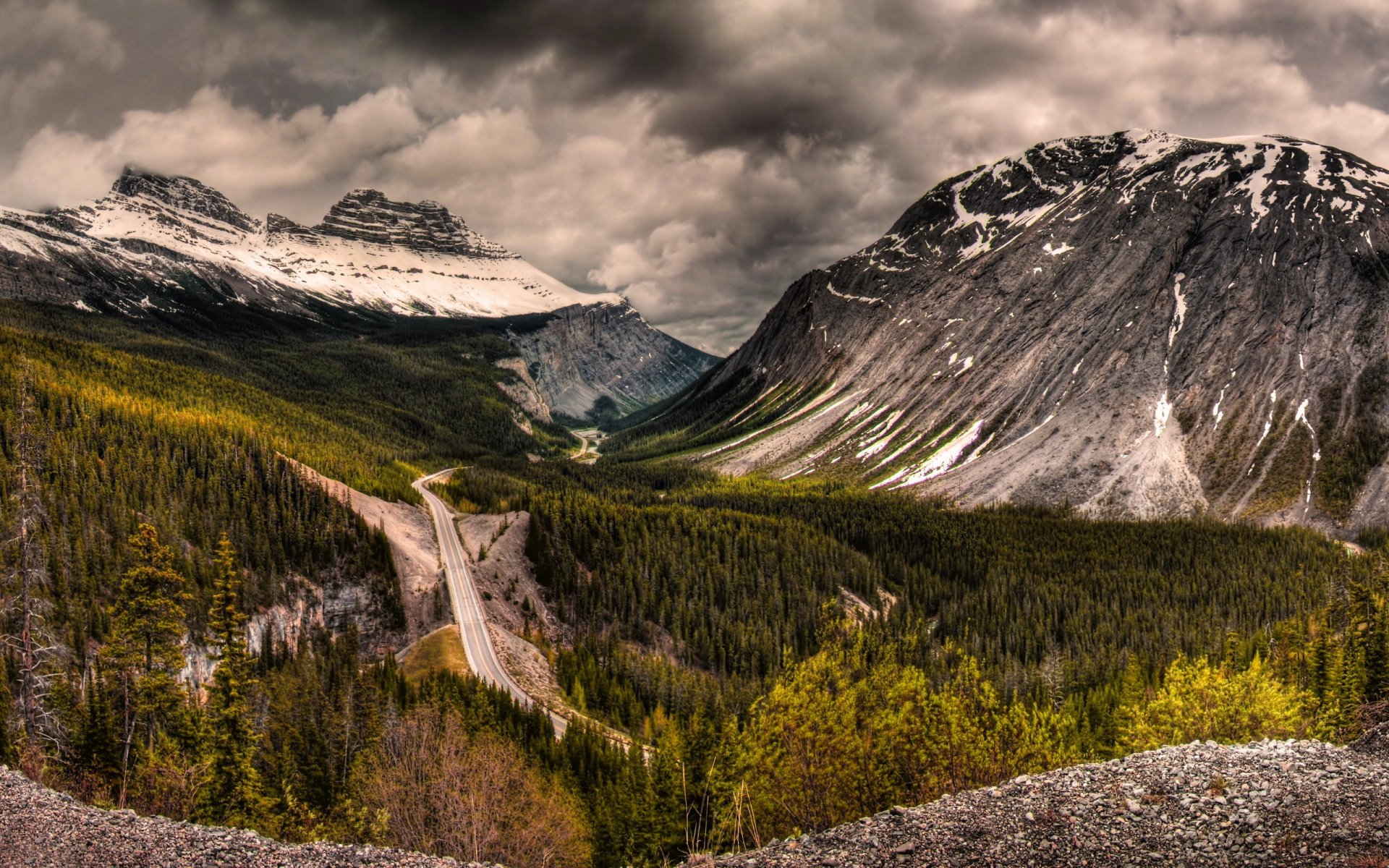 mountain road forest