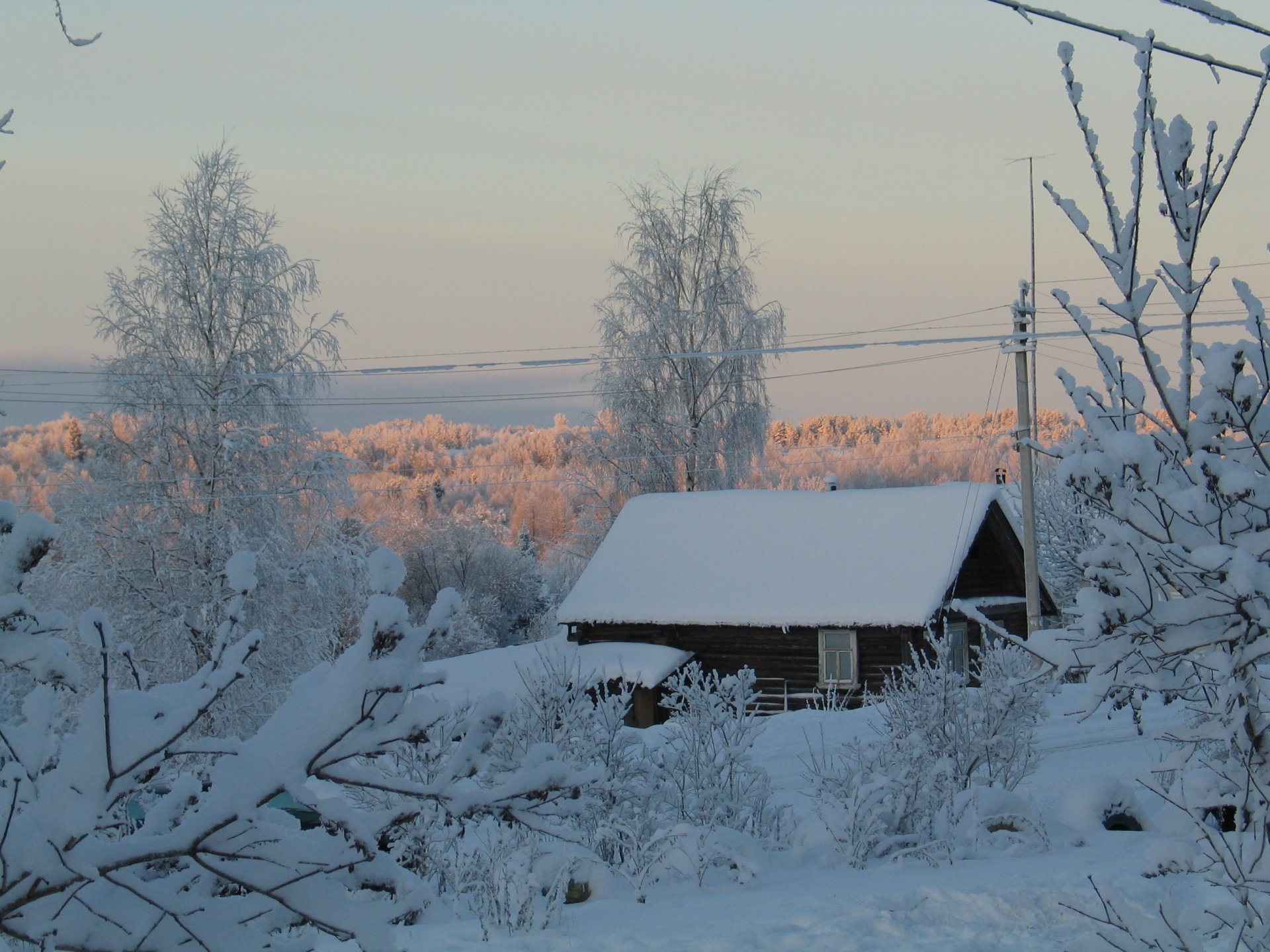 winter schnee bäume haus