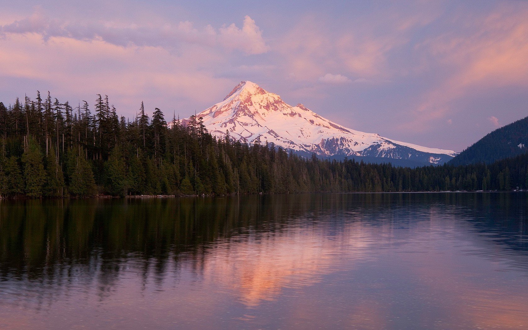 mountain lake tree forest