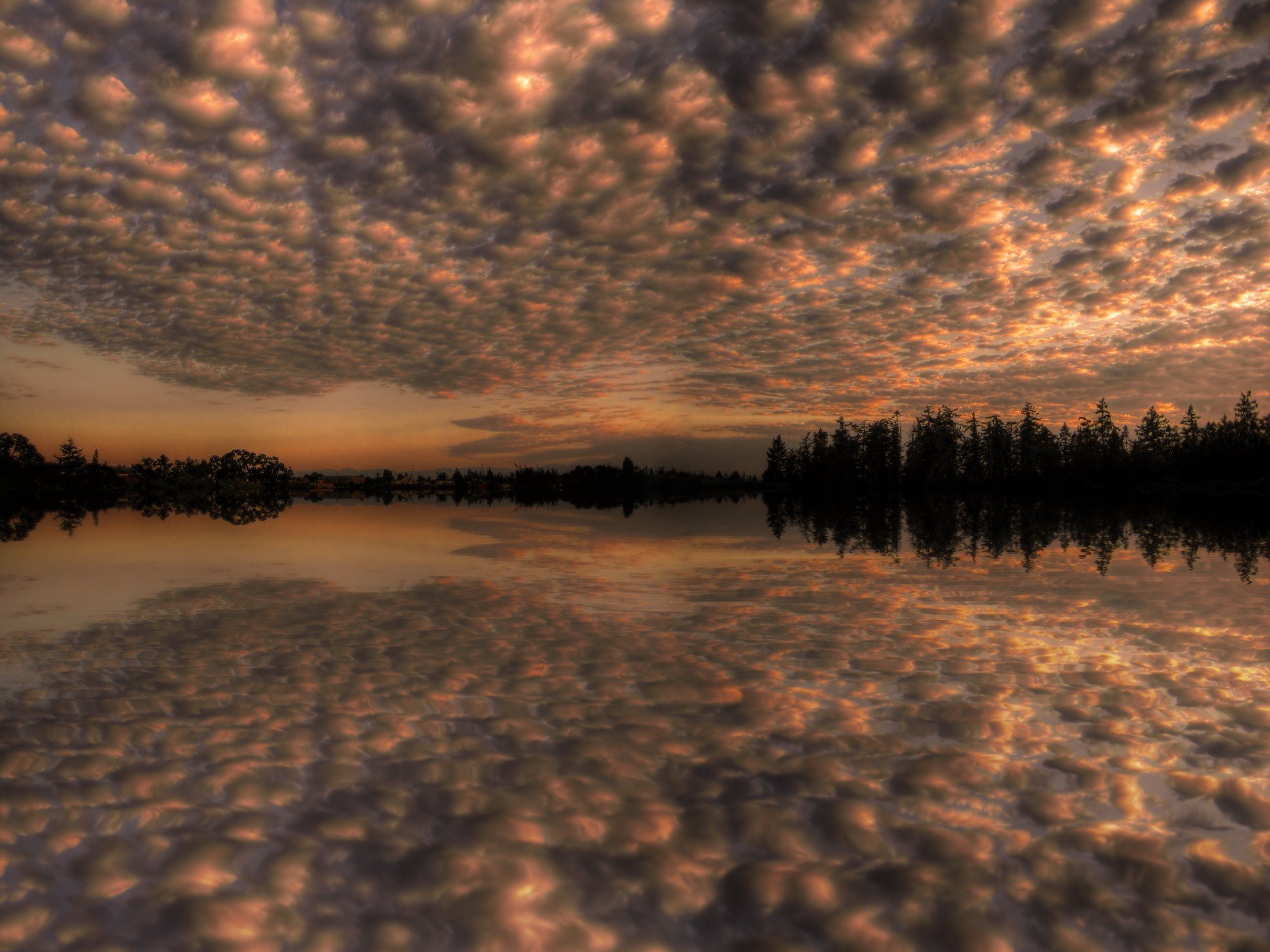 ky clouds reflection tree lake