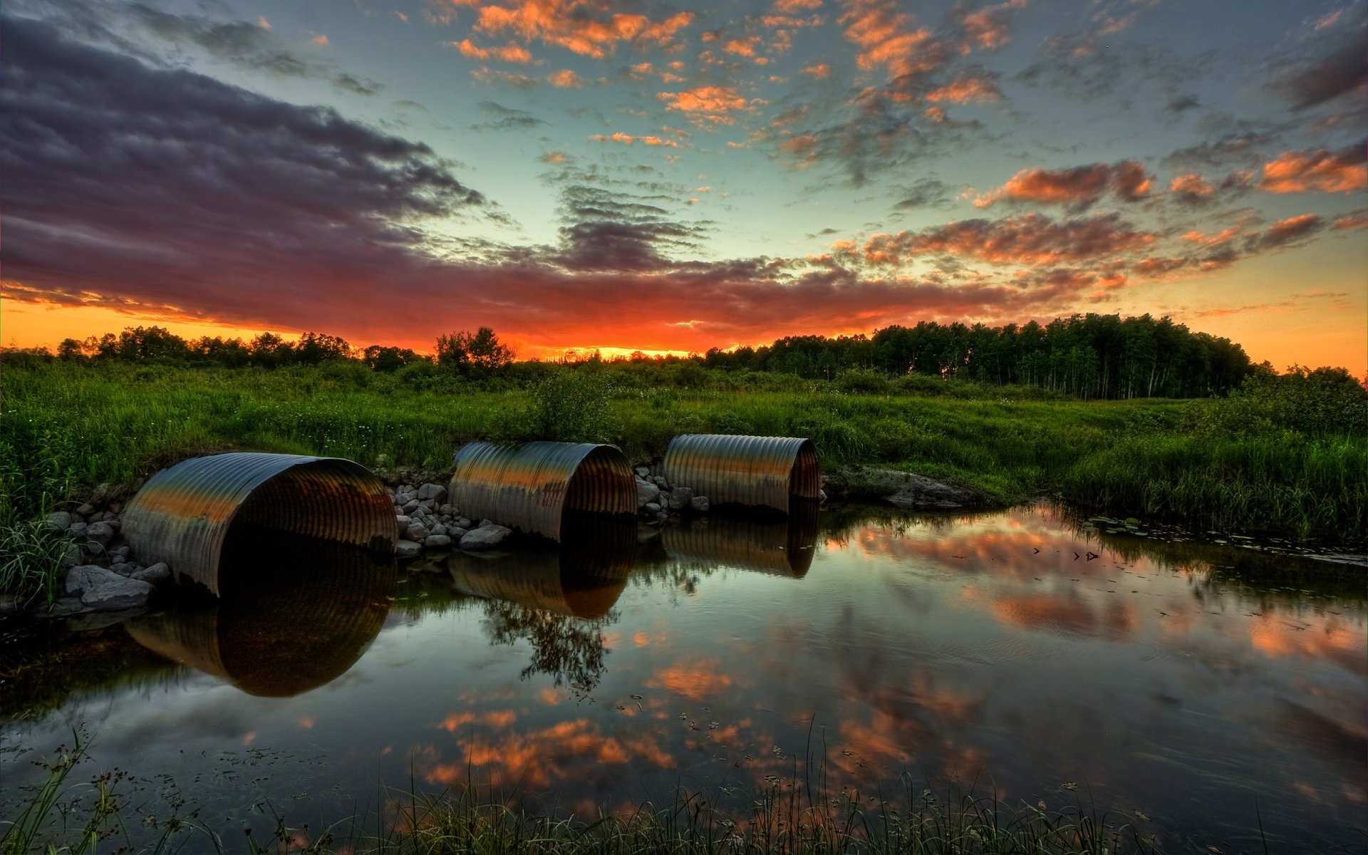 sonnenuntergang sumpf himmel wald