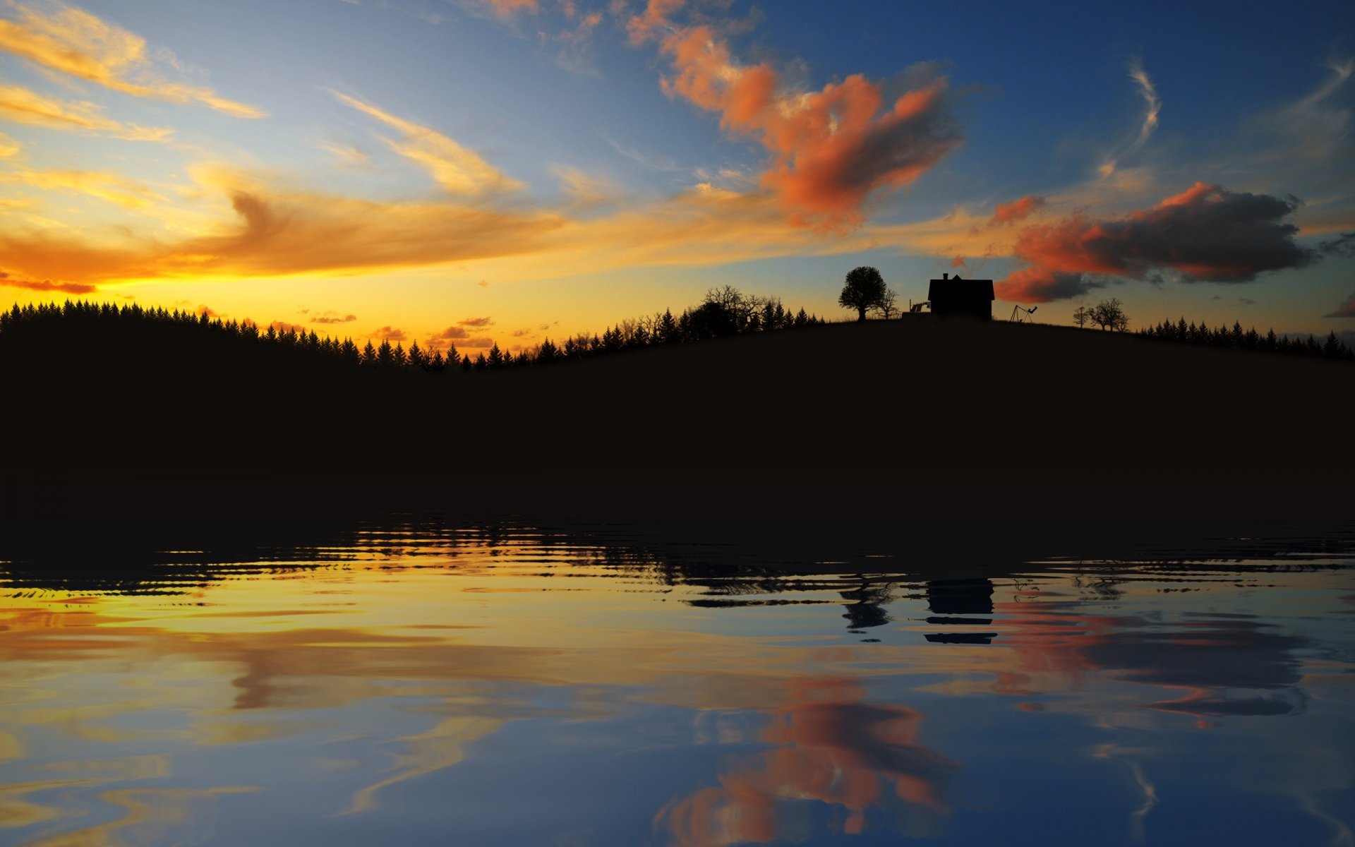 acqua riflessione cielo foresta