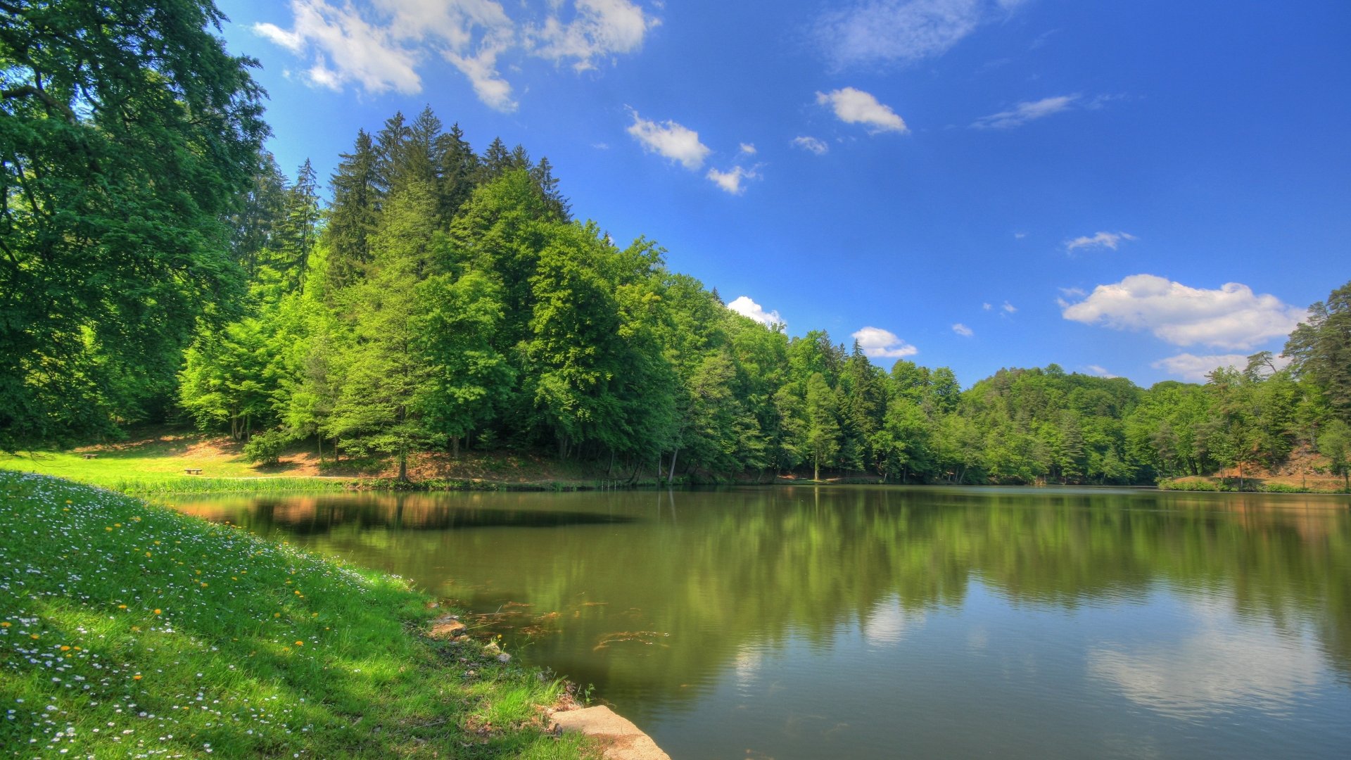 fluss teich sommer