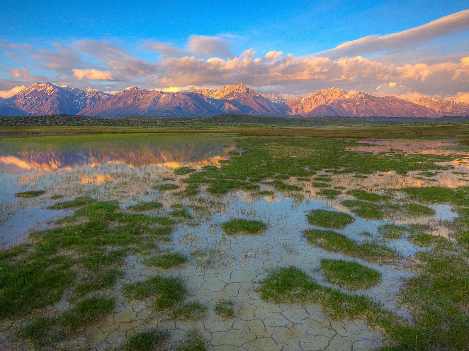 mountain grass a pool