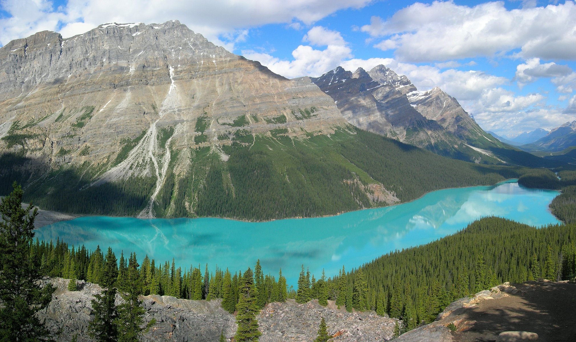 mountain forest lake