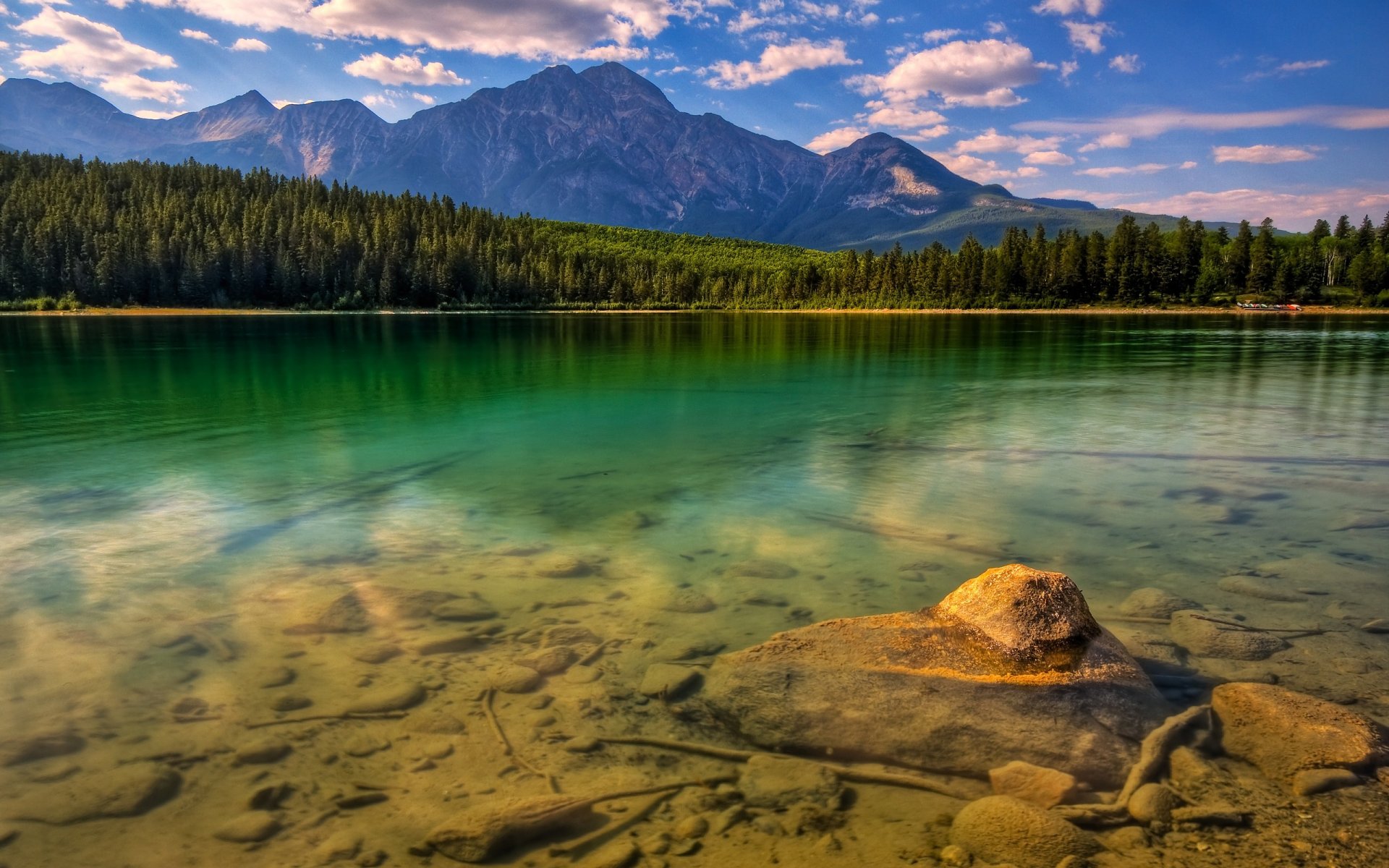 lago piedras bosque montañas