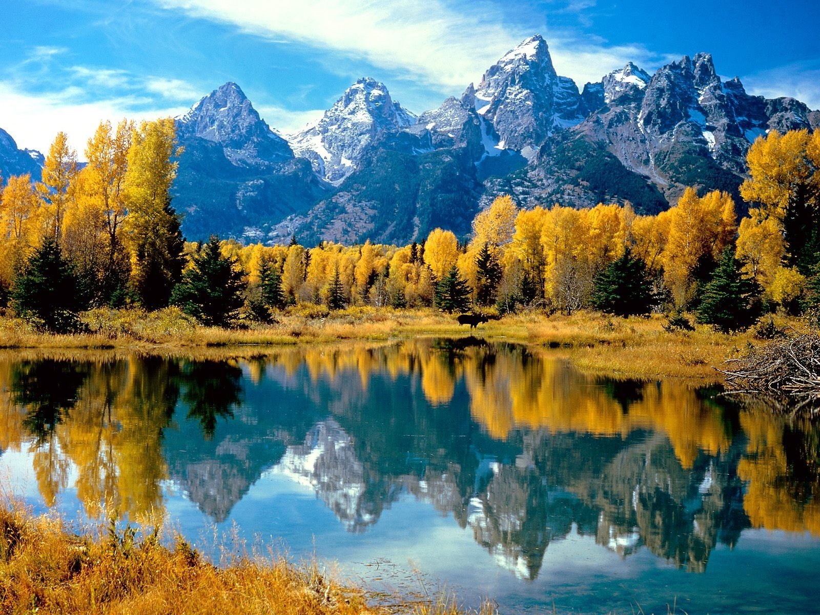 mountain forest tree autumn yellow reflection water lake