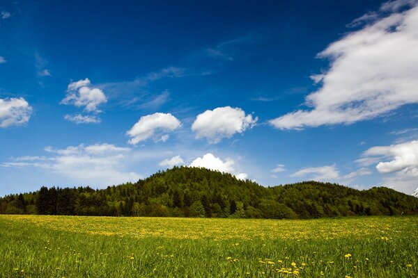 Las verdes colinas y la naturaleza primaveral de Austria