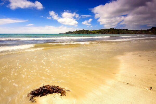 Sandy seashore, blue sky with clouds