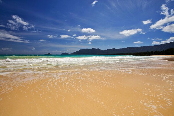 Seashore with waves and blue sky