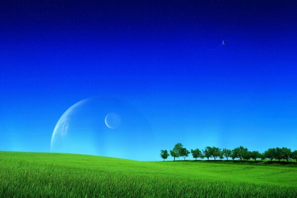 Planets in the sky over a green field