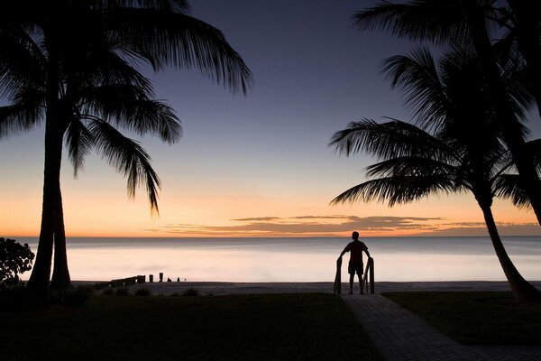 Forces a man on the beach among palm trees