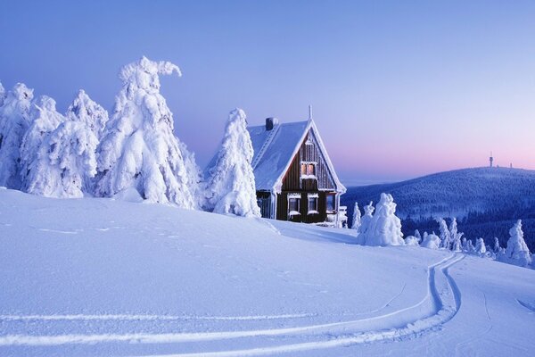 Árboles cubiertos de nieve y una casa acogedora