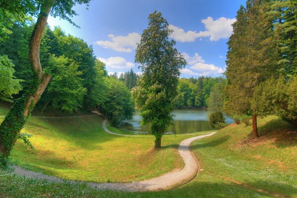 Sentiero per lo stagno tra alberi e nuvole