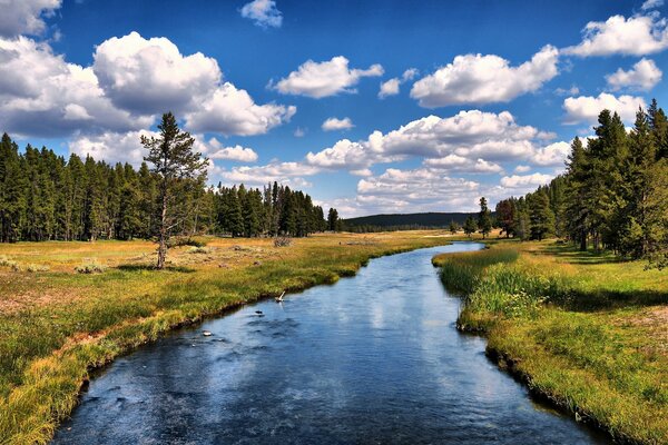 Schöner Fluss inmitten des Waldes vor dem Hintergrund der Wolken