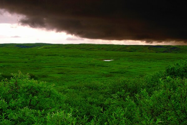 Sobre el campo de la nube se avecina una tormenta de hierba verde