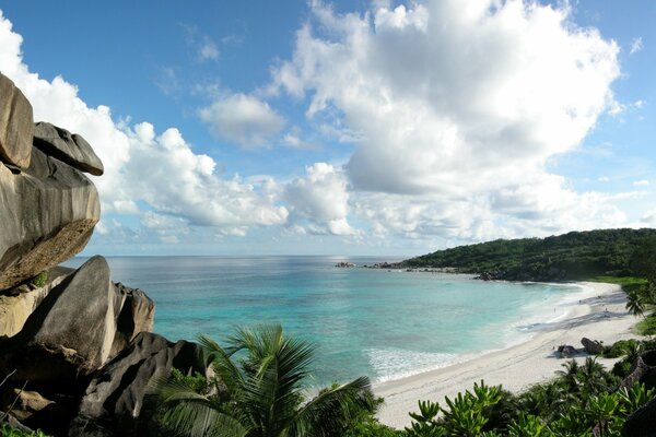 Sandy white beach by azure water