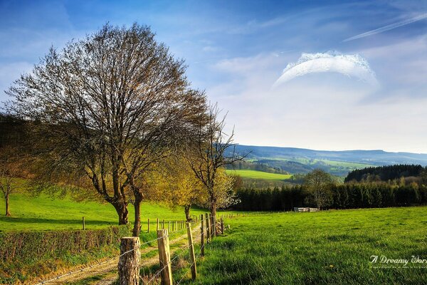 Field road to the dreamy world