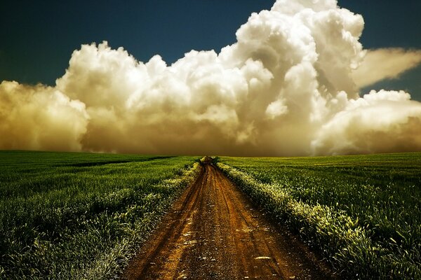 The road to the sky through a field of flowers