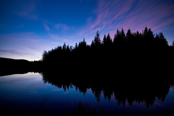 Reflet du soir de la forêt sur le lac