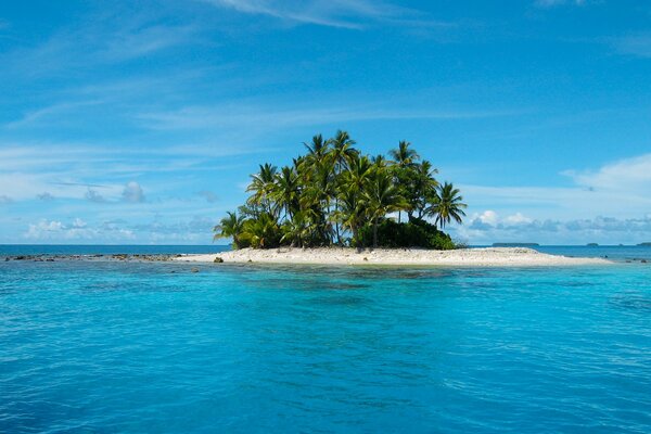 Eine Insel inmitten eines mit Palmen bewachsenen Meeres