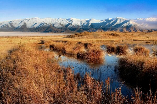 Herbe sèche près de l eau. montagnes enneigées. belle vue