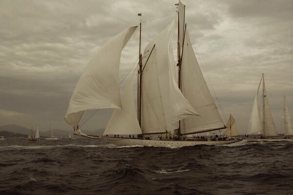 Nur der Wind braucht Segelboote