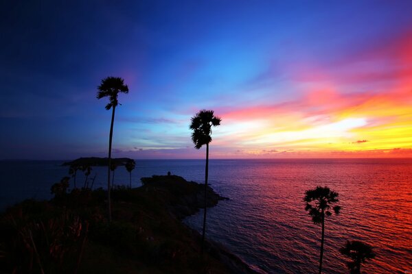 Palme al tramonto in Thailandia