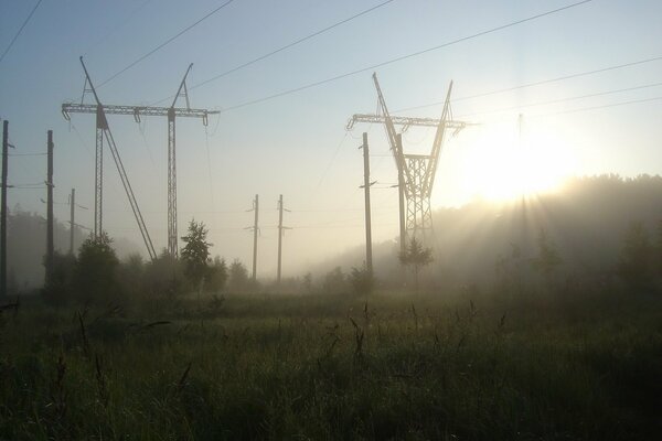 Le soleil illumine l herbe et les lignes électriques