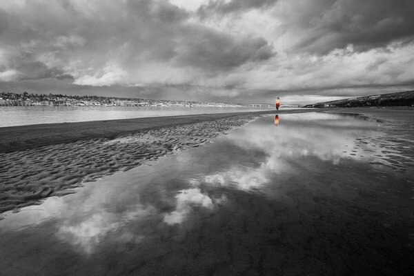 Black and white reflection of the chip in the water