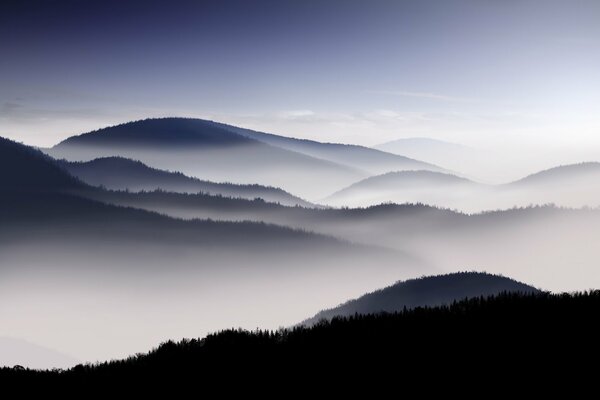 Montañas brumosas. bosque en la niebla. bruma sobre las montañas