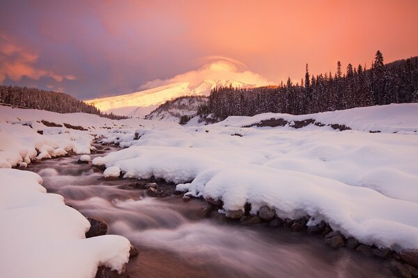 Winter mountain stream in the mountains